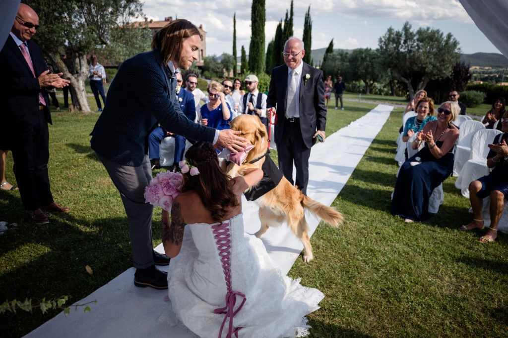 cane che porta le fedi