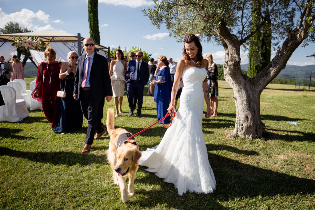 cane della sposa